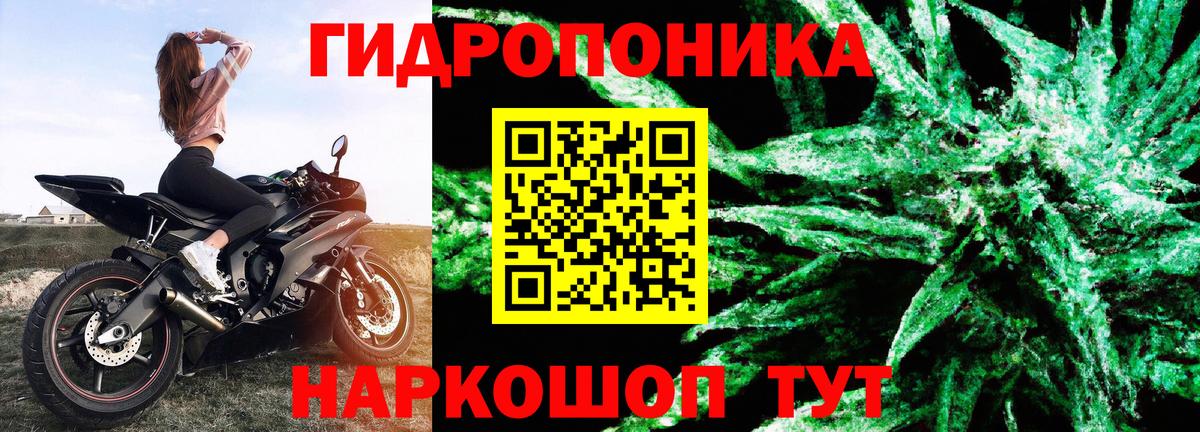 Бошки марихуана марихуана  Вход с VPN  Бошки марихуана тримм  Каннабис Bruce Banner  Кубинка  Каннабис MAZAR 